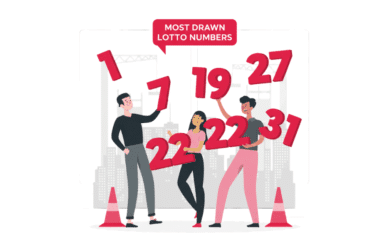Most Drawn Lotto Numbers in New Zealand