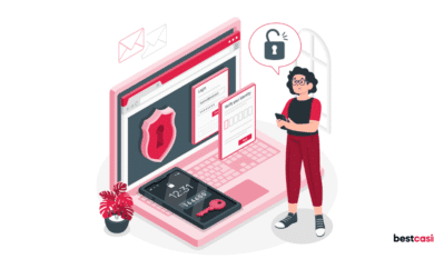 Safe Online Casinos for New Zealand Players