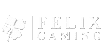 Felix Gaming