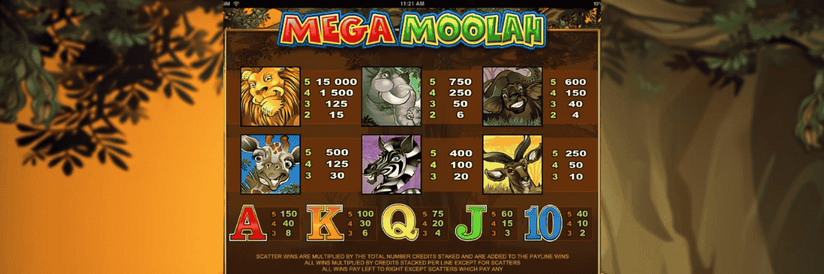 Mega Moolah Paytable and Paylines